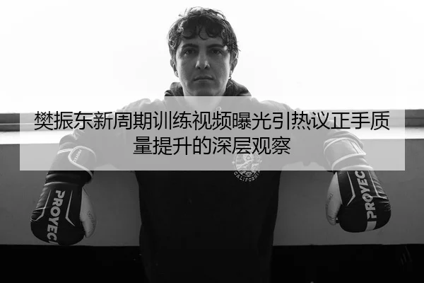 樊振东新周期训练视频曝光引热议正手质量提升的深层观察